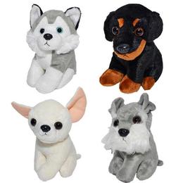 Catel de plus 17-20 cm