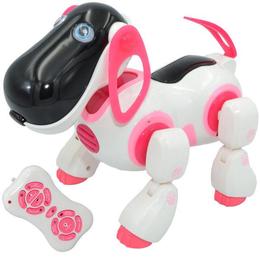 Catel cu RC - Robentoys