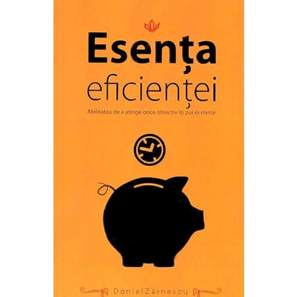 Esenta eficientei - Daniel Zarnescu, editura Stepout