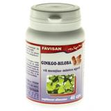 Ginkgo Biloba Favisan, 40 capsule