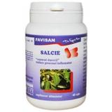 Salcie Favisan, 40 capsule