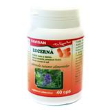 Lucerna Favisan, 40 capsule