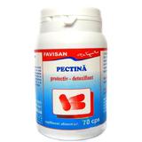 Pectina Favisan, 70 capsule