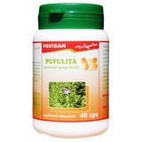 Pufulita Favisan, 40 capsule