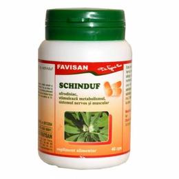 Schinduf favisan, 40 capsule