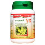 Sulfina Favisan, 40 capsule