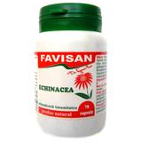 Echinacea Favisan, 70 capsule