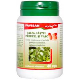 Talpa-gastei, paducel si vasc favisan, 40 capsule