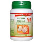 Usturoi & Propolis Favisan, 40 capsule