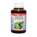 Fortifiant Glandular-Extract de Nuci Verzi Favisan, 100 ml