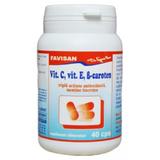 Vitamina C, Vitamina E, Beta-Caroten Favisan, 40 capsule