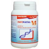 Favinatal Favisan, 70 capsule