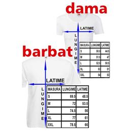 Tricou personalizat gasca miresei bride's team, marime l - cadouri optime