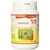 Favisplin Favisan, 70 capsule