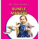 Bunele maniere - Sunt mic si vreau sa aflu, editura Aramis