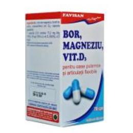 BOR, Magneziu, Vitamina D3 Favisan, 70 capsule