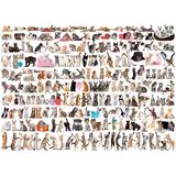 Puzzle 1000 piese The World of Cats