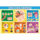 Puzzle 200 piese The Five Senses