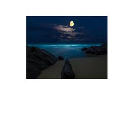 Tablou Canvas Modern, Dimensiunea 50x30 ART67