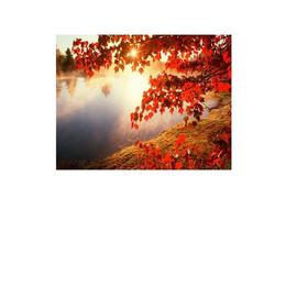 Tablou Canvas Modern, Dimensiunea 80x50 ART35