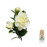 esen-natural-ulei-difuzor-aromoterapie-sys-aromas-gardenia-12-ml-2.jpg