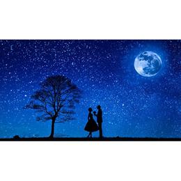 Tablou Canvas Artistic 176 - 20 x 35 cm