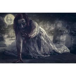 Tablou Canvas Artistic 059 - 60 x 90 cm