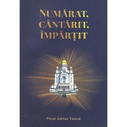 Numarat, cantarit, impartit - Adrian Tautul, editura Lumina Tipo