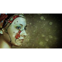 Tablou Canvas Artistic 194 - 40 x 70 cm