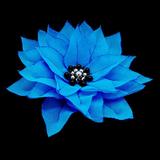 agrafa-par-floare-albastra-handmade-jasmine-zia-fashion-2.jpg