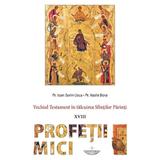 Vechiul Testament in talcuirea Sfintilor Parinti: Profetii mici - Ioan Sorin Usca, Vasile Bora, editura Christiana