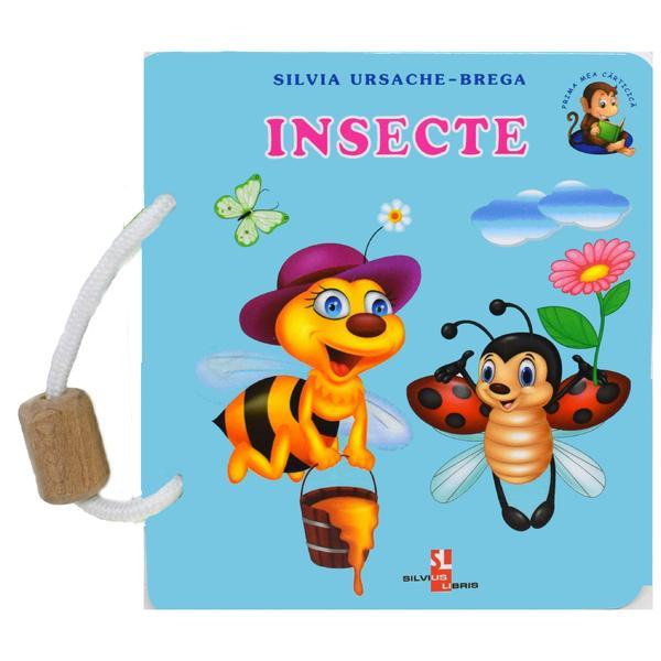 Insecte - silvia ursache-brega