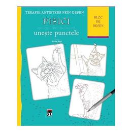 Pisici: uneste punctele. terapie antistres prin desen - karine naye, editura rao