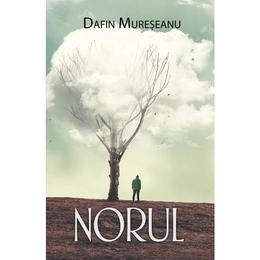 Norul - dafin mureseanu, editura rao