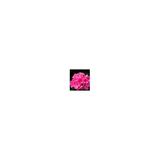 parfum-pentru-barbati-root-yodeyma-100-ml-2.jpg
