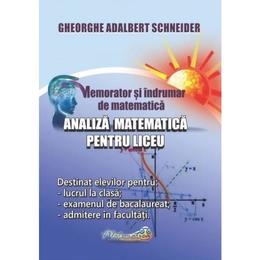 Memorator analiza matematica pentru liceu - Gheorghe Adalbert Schneider, editura Hyperion