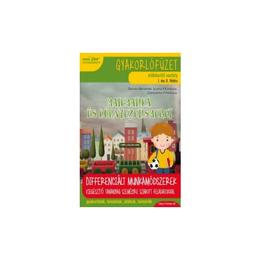 Matematica si explorarea mediului cls. pregatitoare. lb. maghiara ed.2017-2018 - daniela berechet, editura paralela 45