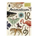 Animalium - Katie Scott, Jenny Broom, editura Humanitas