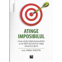 Atinge imposibilul - Greg Whyte, editura Niculescu