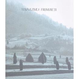 Stravezimea frumusetii - paul gherasim, marius pandele, editura bizantina