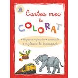 Cartea mea de colorat: Legume, Fructe, Animale, Mijloace de transport, editura Didactica Publishing House