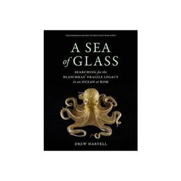 Sea of Glass, editura University Of California Press