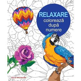 Relaxare: coloreaza dupa numere, editura didactica publishing house