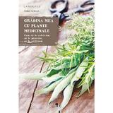 Gradina mea cu plante medicinale - Serge Schall, editura Rao