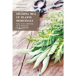 Gradina mea cu plante medicinale - serge schall, editura rao