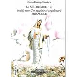 La Medjugorje se inalta spre Cer suspine si se coboara Miracole - Doina Hasnes-Ciurdariu, editura Pre-text