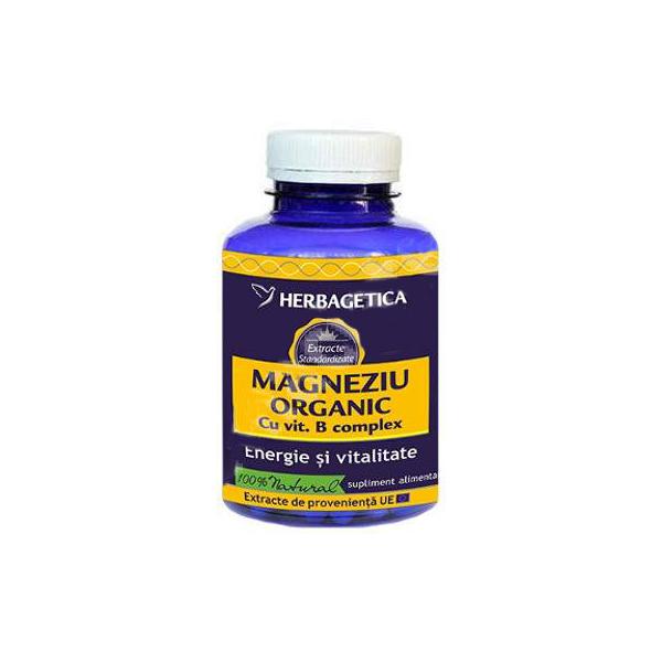 Magneziu Organic Herbagetica, 120 capsule