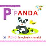 P de la Panda - Peng, in ochiul ciclonului (necartonat), editura Didactica Publishing House