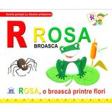  de la Rosa, Broasca - Rosa, o broasca printre flori (cartonat), editura Didactica Publishing House