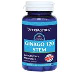Ginkgo 120 Stem Herbagetica, 30 capsule